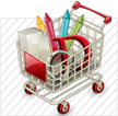 Web/eCommerce Development
